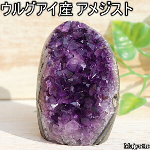  AWXg EOACY  y66.5mm×51.2mm×68.4mm 289gz lC   Q rO JE^[ u x p[v AWXg VR     2a 