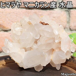 q} }jJY  y109.5mm×122.7mm×72.5mm 725.1gz  NX^[ g GlM[ oX C VR  q[OXg[ Q rO  CeA JE^[ u 