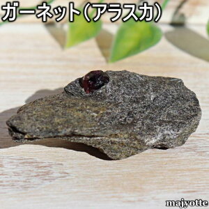 �K�[�l�b�g �A���X�J�Y �y28.1mm×62.2mm×22.0mm 38.1g�z 1���a���� ���t �n���ȓw�� ���� �M�O �w�� �_�� ������� �V�R�� ���� ���� �� �q�[�����O�X�g�[�� ���� �Q�� ���r���O �J�E���^�[ �C��