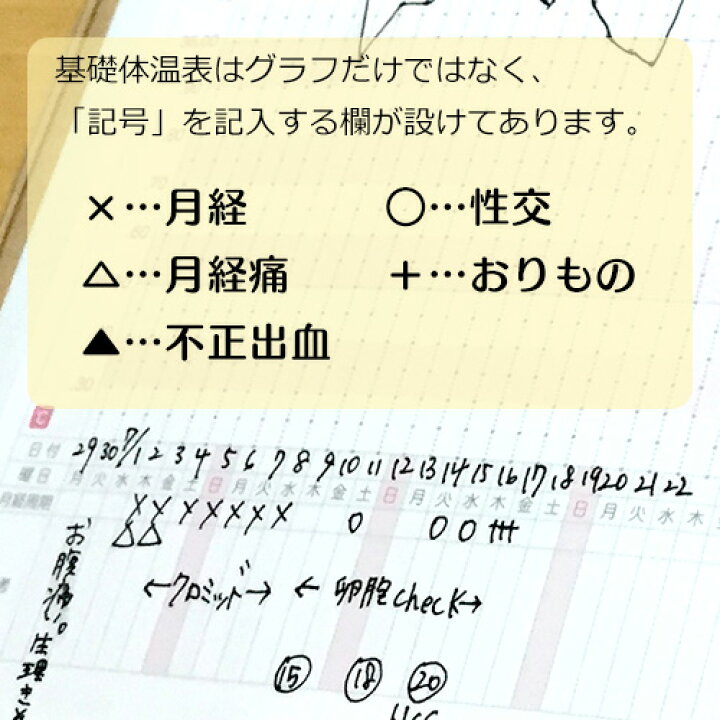 楽天市場 基礎体温ノート 大人可愛い 2年分のグラフ 妊活 基礎体温表 ジャバラ式 可愛い ノート型 基礎体温グラフ B6サイズ ビニールカバー付き 妊娠 女性 健康 ギフト プレゼント メール便対応 ハッピーブレッシング楽天市場支店