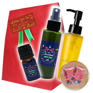 �|�C���g10�{���N���X�}�X�L�����y�[�� ���ʌ��� �������� �|�C���g10�{�y�E�B���^�[�P�A�^�C���z�S�[���f���z�z�o�I�C��80ml�{�N���X�}�X�u�����h�A���}5ml�{�A���}�X�v���[100ml�{�o�X�\��