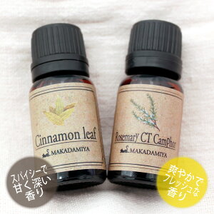 |Cg10{[֑ Vi[t[Y}[CTJt@[e10mlZbg VRR100GbZVIC A}IC(Cinnamon leaf)(Rosemary)