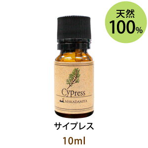 [֑ TCvX10ml(VRR100%A}IC)EbfB[ȍ̒ɃXpCV[΂܂񂾍(GbZVIC  Cypress)