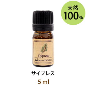 メール便送料無料 サイプレス5ml(天然100%アロマオイル)ウッディーな香りの中にスパイシーさを少しばかり含んだ香り(エッセンシャルオイル 精油★ Cypress)