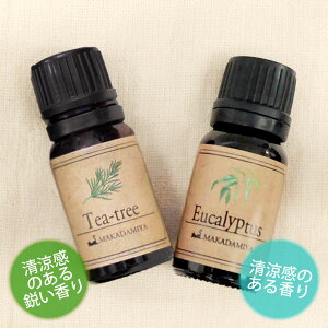 [֑ [JeB[c[e10mlZbg VRR100GbZVIC A}IC(Eucalyptus)(Tea-tree)