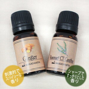 |Cg10{[֑ WW[[Y}[CTJt@[e10mlZbg VRR100GbZVIC A}IC( Ginger)(Rosemary)