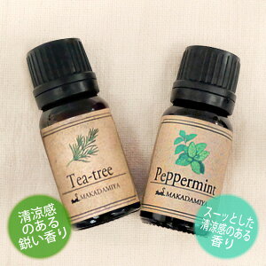[֑ eB[c[yp[~ge10mlZbg VRR100GbZVIC A}IC(Tea-tree)(Peppermint)