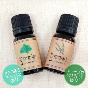 [֑ XyA~g[Y}[CTJt@[ e10mlZbg VRR100GbZVIC A}IC(Spearmint)(Rosemary)y10P25Oct14z