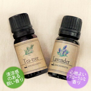 [֑ eB[c[x_[e10mlZbg VRR100GbZVIC A}IC(Tea-tree)(Lavender)