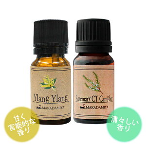|Cg10{[֑ CC(1st)[Y}[CTJt@[e10mlZbg VRR100GbZVIC A}IC( YLANG YLANG)(Rosemary)