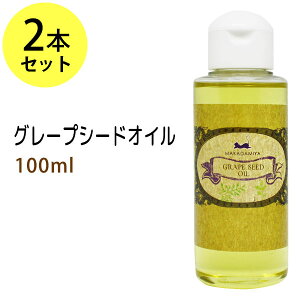O[vV[hIC100ml×2{Zbg Tdl VRR100%}bT[WIC LAIC eIC {^jJ x[XIC Y NWO XLPA }bT[W 