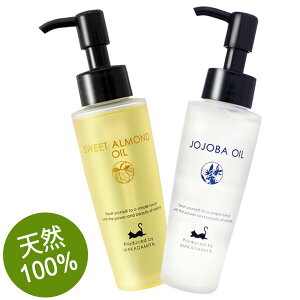 |Cg10{yyV}\zy炩ZbgzzzoIC+XC[gA[hICe80ml iAXLPAICA}bT[WAet(eIC/t