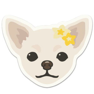 uALOHA 񂿂tFCX XebJ[ v5ށy@ybg@hbO nC uh G V[ ALOHA T[tB @gCv[h ` t`uhbN [NVeA _bNX