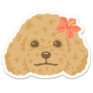 uALOHA 񂿂tFCX XebJ[ v5ށy@ybg@hbO nC uh G V[ ALOHA T[tB @gCv[h ` t`uhbN [NVeA _bNX