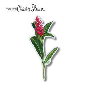 NXeBV XebJ[ RED GINGERycheistie shinn@nC G A[g nCA XebJ[ hXebJ[ 킢 ACX 썑@CeA V[ nCA CXgz