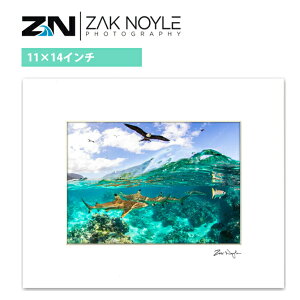 y11×14C`z UbNmC }bgvg Beyond the Reef 28.0×35.5cmyzak noyle nC ʐ^ CeA nCAG nCAA[g T[tB C g tHgOt@[z