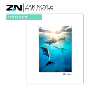 y11×14C`z UbNmC }bgvg Staff Meeting 28.0×35.5cmyzak noyle nC ʐ^ CeA nCAG nCAA[g T[tB C g R A[g Ǌ| vg tHg 