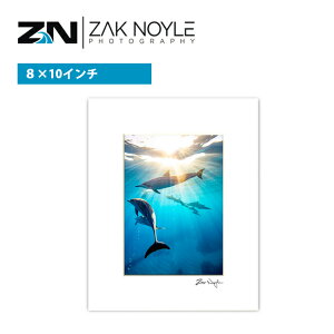 y8×10C`z UbNmC }bgvg Staff Meeting 20.3×25.4cmyzak noyle nC ʐ^ CJ CeA nCAG nCAA[g T[tB C g R A[g Ǌ| vg 