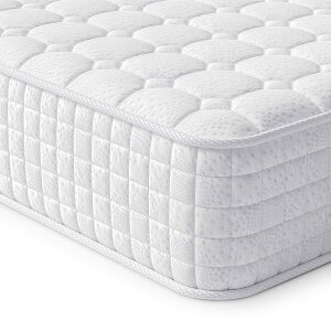 Vesgantti }bgX _u xbh}bgX Ɍ20CM |PbgRC  xbg}bg RC682 sz }bgX xE^ ʋC t }bgX k Q