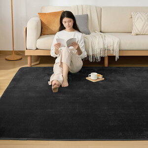 Sun Deco ���O �J�[�y�b�g ����15mm �ᔽ�� ���O�}�b�g 200x300cm ��4.5�� �O�~ ����~�ߕt �h�� �h�_�j �R�� �h�L ���r���O�}�b�g �I�[���V�[�Y�����K �ӂ�ӂ픧�G�� �����}�b�g ���g�[�E�z�b�g