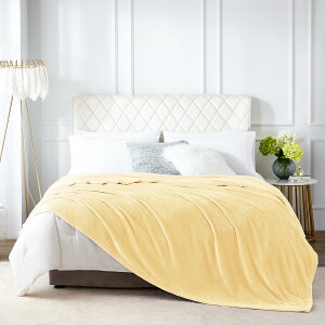 Hansleep �ѕz ������ �~�p ���F �_�u�� �u�����P�b�g �傫�� 200x220cm �唻 �O���[ �}�C�N���t�@�C�o�[ �_�炩�� ���G�� �t�����l�� �􂦂� �y�� �Ód�h�~ �l�G�K�p (200x220,�C�F���[)