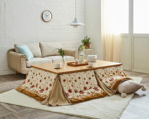 CPqRER[|[V  | zc ȃXy[X ~L[ ` AC{[ 190×250cm mfBbN Ȃ߂炩 ȃGl ߖ #1170280144621