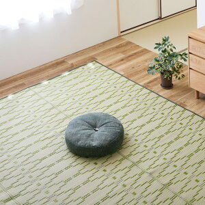  􂦂 J[ybg O[ ]ˊ3 174X261cm uiȂjv O Ԃ a k ybg ی