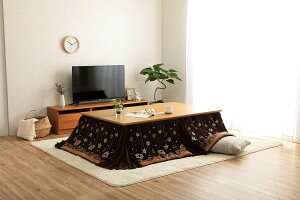 CPqRER[|[V CPqR  | zc ȃXy[X ~L[ ` uE 190×250cm mfBbN Ȃ߂炩 ȃGl ߖ #1170280064621