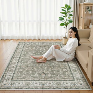 HAOCOO J[ybg t  200250cm 3 ~ yV O 􂦂 I[V[YKp ԕ h ϖՐ y RۖhL rO _CjO AeB[N O}bg XO[