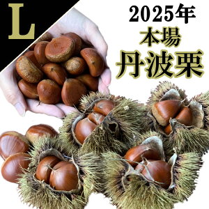 OgI L TCY 1kg VI Og I I 嗱 aI 傫ȌI IyY IXC[c nO ΌI I  OgY  ` Y