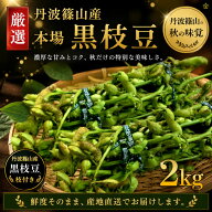 丹波篠山 黒枝豆 枝付き 2kg【令和8年先行予約】送料無料 農家直送 本場 黒豆枝豆 国産 大粒 高級 秋の味…