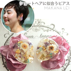 CO Ԃ ɂȂɂ VRNbVt AM[ V[gwA  v[gnhCh ANZT[ Ă΂ l JWA  v[g