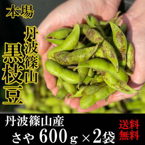 OgR } 1.2kg( 600g × 2 ) yߘa7NVE\̔z  Yn Ԍ pɂœK 嗱 ō  }