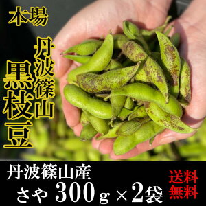 OgR } } Og  300g × 2 OgRY 2025N ߘa7N  Og }  哤 嗱 g Og  600g 哤} }Ȃ 