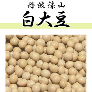 L 300g ɌYOgR 哤  ܖړ ߘa6NY 2024NY 