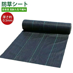 hV[g3m×100m _pV[g 悯V[g Gh~ ϗpN 2-3N 0.5mm hV[gE  lHŉ ؉  Gʐ  Y GV[g x ϋvsDz V[