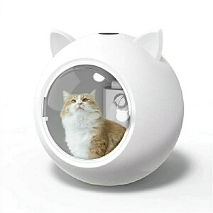 ybgphC[ } É Â I[V[Y nYt[ hC[{bNX  ix |J|JybgphC[ ybg  e ybg{