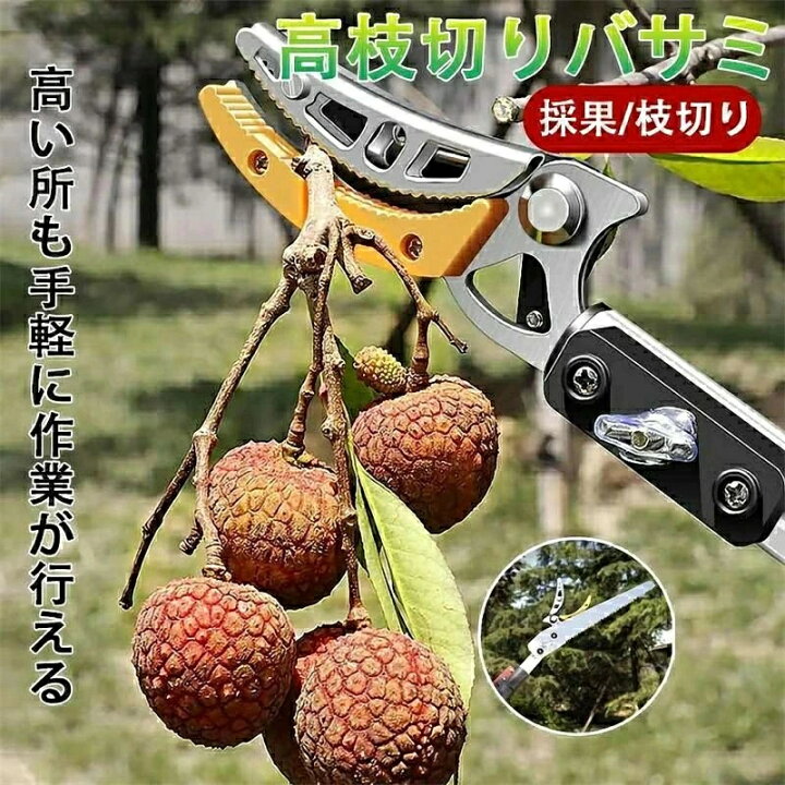 楽天市場】高枝切りバサミ 3m 4m 5m 伸縮式高枝切鋏 鋸付き 伸縮式 