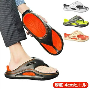 yzhL ~ JWA X|[c O GA[NbVV[Y ӂӂ  Jo[Xbp r[`T_  p