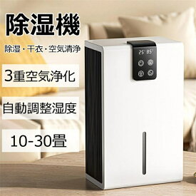 除湿機 衣類乾燥 小型 パワフル除湿 空気清浄機 1台3役 強力除湿 ペルチェ式 梅雨対策 部屋干し コンパクト 電気代 静音 マイナスイオン機能 花粉対策 除湿乾燥機 乾燥器 乾燥機 空気清浄 小型 消臭 結露防止 カビ防止 寝室 クローゼット 洗面台 脱衣所 部屋用 カビ防止