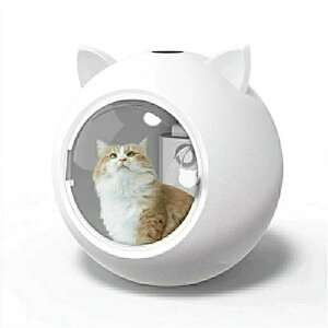 ybgphC[ } É Â I[V[Y nYt[ hC[{bNX  ix |J|JybgphC[ ybg  e ybg{