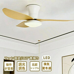 V[Ot@Cg y  U led dc[^[ 8 ؐ k Q F ʒ Rtpt@