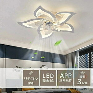 V[OCg T[L[^[t  6 Ɩ DC V[Ot@ 8  t@t LED @ ^ F k R X}z Eߏ Q   ȃGl 