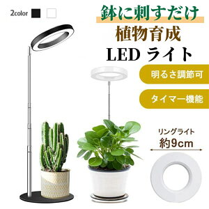 A琬Cg 3[h 10iK  LED ACg A琬v ϗtApCg ͔|v X^h t 莞@\ ^C}[  10iK k͔|v ^C}[t 78 