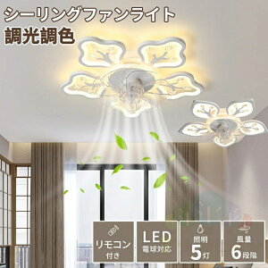 V[Ot@Cg led ^ 60cm F Rt U T[L[^[ ȃGl y  VƖ Ɩ k R V[Ot@ rO dc[^[ t@ 