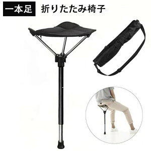 AEghA`FA ܂肽݈֎q Lv`FA oC`FA X^fBO`FA RpNg Lk  y ^ѕ֗ 1{r A~ ω׏d125KG ~ dԑ҂ 