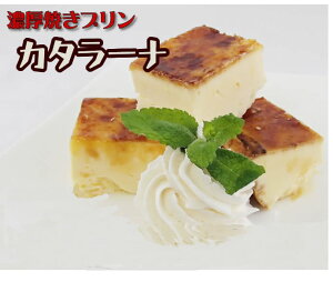 Ԕq@J^[i@Ɩpit肠jⓀ@500g