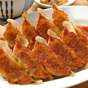冷凍ぎょうざ 味の素) デリカ 焼ギョーザ 餃子 (焼調理済) 約23g*10入り 230g