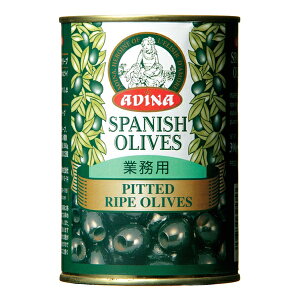 AfB[i sebgCvI[ui픲j 4ʁ@390g