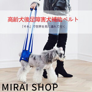 ySS聚10%OFF! z p s⏕n[lX 㑫p sT|[g ݑPA[ V VjA pi p
